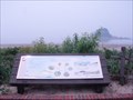 Image for Hakampo Beach Wildflowers  -  Taean Haean National Park, Korea