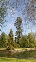 Image for Le sequoia du parc de Richelieu - Richelieu, Centre