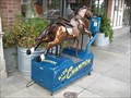 Image for Horse ride - Petaluma, CA