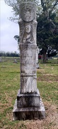 Image for James W. Anderson - Miller Grove Cemetery, Miller Grove, TX