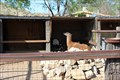 Image for Casa Grande Petting Zoo - Cerrillos, New Mexico