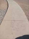 Image for Dog Tracks at Mission San Xavier Del Bac - Tucson, AZ