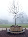 Image for Bevrijdingsboom - Hoog Soeren, The Netherlands