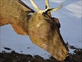 Image for Wooden Deers - Jungholz, Austria, TIR