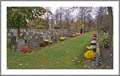 Image for Veteran cemeterie Steenbrugge - Brugge -Belgium