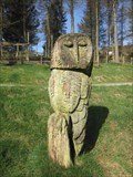 Image for Owl, Bwlch Nant yr Arian, Ponterwyd, Ceredigion, Wales, UK