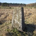 Image for O.S. Triangulation Pillar - The Warren (Glamis), Angus.