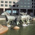 Image for Mustangs of Las Colinas - Irving, TX