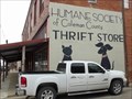 Image for Cat & Dog Mural - Coleman, TX