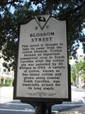 Image for Blossom Street (40-78)