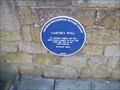 Image for Carter's well blue plaque