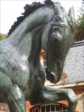 Image for Horse - The Stable Courtyard, Waddesdon Manor, Buckinghamshire, UK