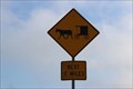 Image for Horse and Buggy Crossing - Diggins, MO