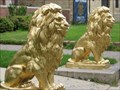 Image for Lions at Sigma Alpha Epsilon Fraternity - University of Minnesota