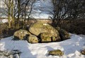 Image for Großsteingrab Goldbusch - megalithic grave