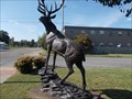 Image for The Elks Lodge Elk - Mena, AR