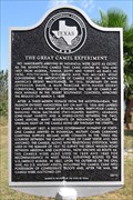 Image for The Great Camel Experiment