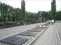 Image for Auschwitz - Birkenau  Concentration Camp