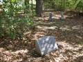 Image for A Memorial to a Little Slave Girl - Balch-Senterwood Cemetery - Alvarado, TX