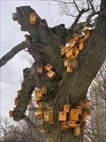 Image for Birdhouse Tree - Chicago, IL