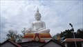 Image for Buddha—Pho Kao Ton Temple, Singburi, Thailand