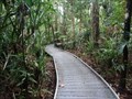 Image for Madja Botanical Walk - Queensland, Australia.