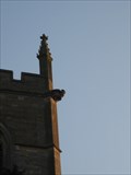 Image for St  Mary's Church  -Grendon ,Northant's