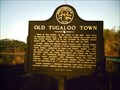 Image for Old Tugaloo Town