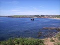 Image for Thurlestone Rock  Viewpoint
