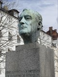 Image for Roosevelt in Copenhagen