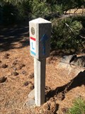 Image for Lincoln Highway Marker - near Donner Pass - California