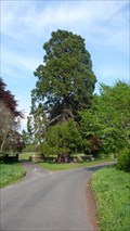 Image for Acorn Bank Redwood, Temple Sowerby, Cumbria