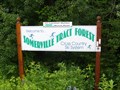 Image for SOMERVILLE TRACT FOREST - Kinmount, Ontario