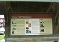 Image for History of Pilot Grove , Missouri