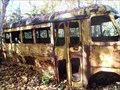 Image for Dead School Bus, Baie Comeau, Quebec