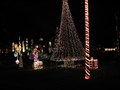 Image for Christmas Lights - Town and Country, MO