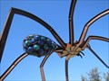 Image for Giant Spider - Austin, TX