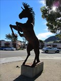Image for Horse - San Luis Obispo, CA