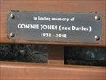 Image for Connie Jones, Denbigh Castle, Denbigh, Denbighshire, Wales