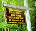 Image for Genegantslet State Forest - McDonough, NY