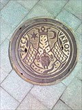 Image for Iron Manhole Cover - Kossuth tér - Pécs