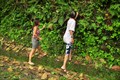 Image for Berry picking in tropical jungle - Bombaim, Sao Tome and Principe