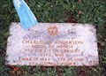Image for Charles W. Anderson AKA George Pforr-Staunton, VA