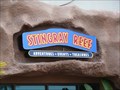 Image for Stingray Reef & Aquarium - Kemah TX