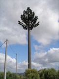 Image for Cell Tree/Tower near old windmill, Avecasta, Ferreira do Zêzere
