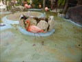 Image for Costa Maya Flamingo Aviary - Costa Maya, Quintana Roo, Mexico