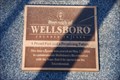 Image for Time Capsule on the Green - Wellsboro, PA