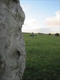 Image for West Kennet Avenue - Avebury, Wiltshire