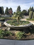 Image for City Hall Palm Tree Planter - Fountain Valley, CA