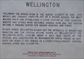Image for Wellington
